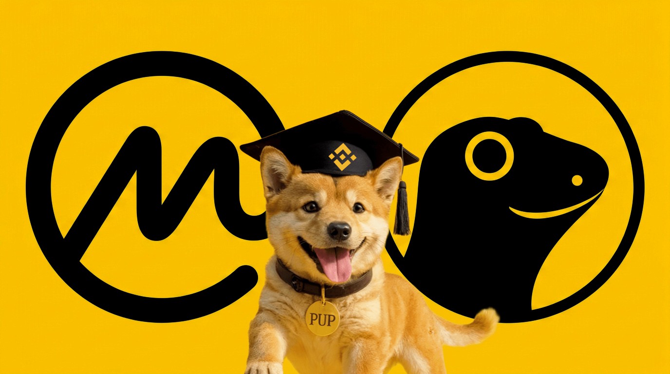 CoinMarketCap & CoinGecko